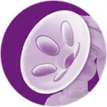 شیر دوش برقی اونت