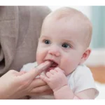 مسواک انگشتی قاب دار دکتر براون Drbrowns - Image 3