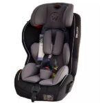 صندلی خودرو ولدون مدل Welldon ig07